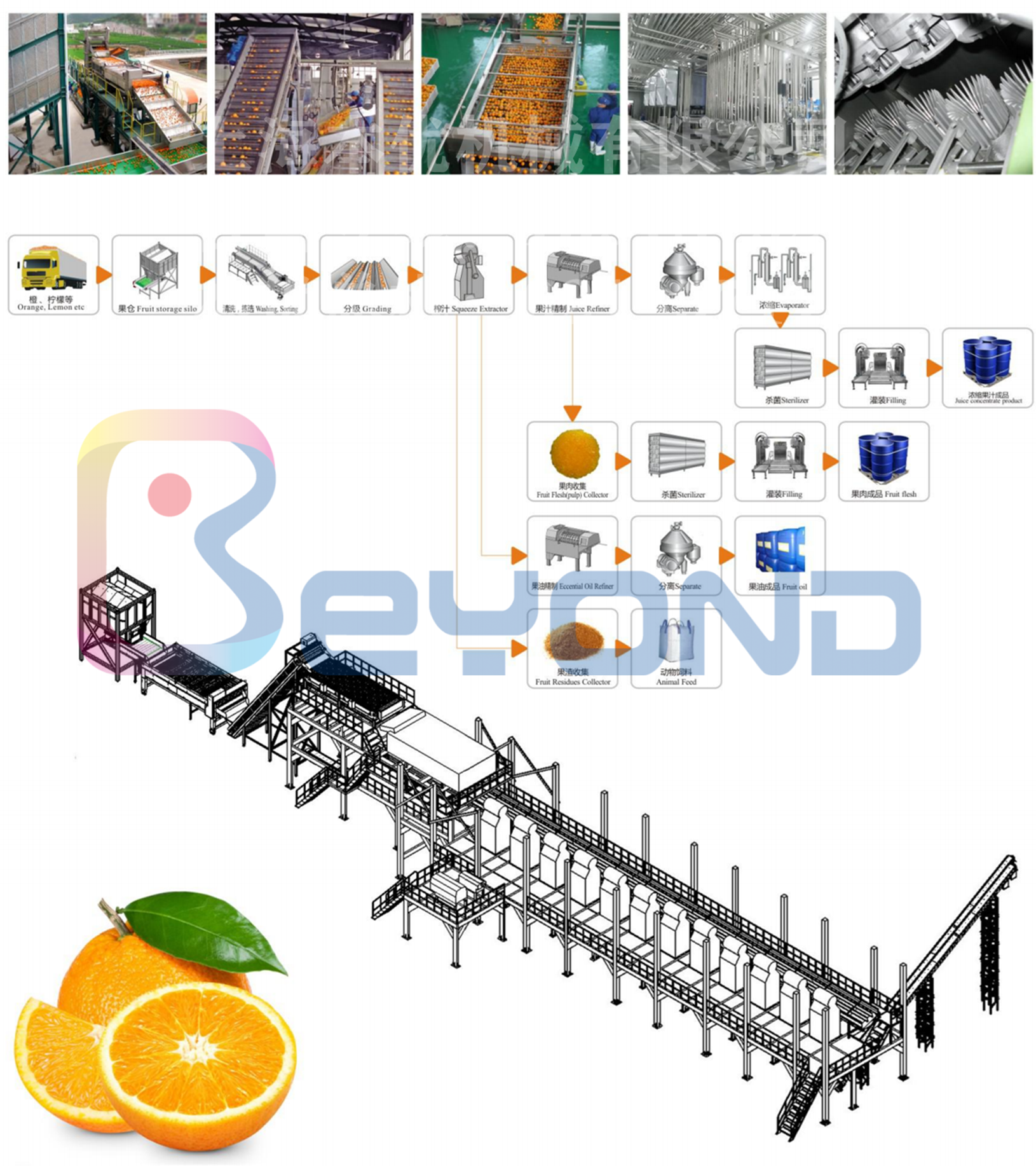 1627452327597051.png 柑橘.png