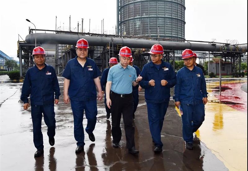 楊海峰深入龍鋼公司檢查調(diào)研安全工作