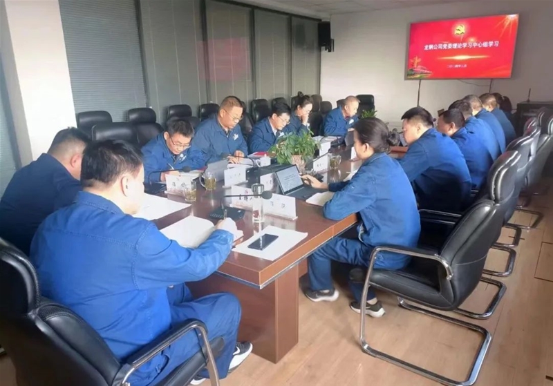 公司黨委理論學(xué)習(xí)中心組開展全國兩會精神專題學(xué)習(xí)